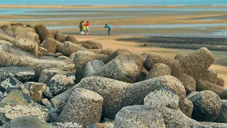 West Bengal: Digha Civic Body Plans New Waste Management Efforts Ahead Of Festive Rush